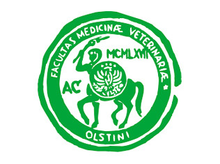 olsztyn2.jpg