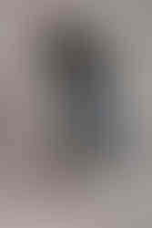 Ondergrond - Paula Silva Vermaas