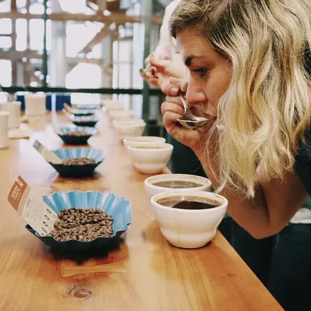 Cup Scores Üzerinden Değer Biçilen Kahve: Skorlar Neden Farklılık Gösteriyor?