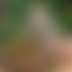 8 Temmuz 2025 – Kahve Endüstrisindeki Öne Çıkan Gelişmeler