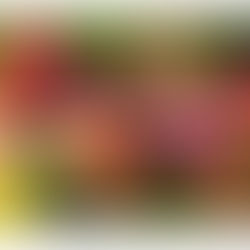 Görünmeyeni Görmek: Kahve Böceğine Karşı Avustralya’dan Yeni Bir Teknolojik Hamle