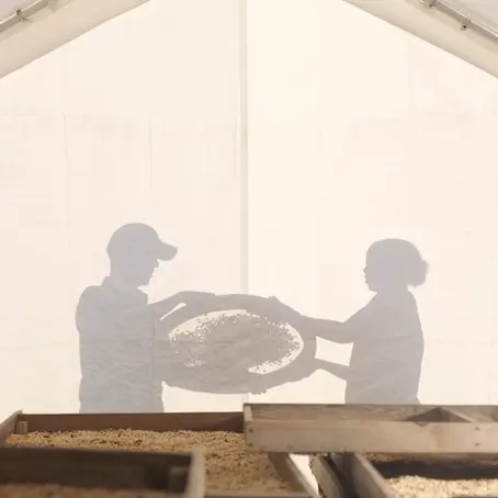 İnfüze Kahvelerin Yükselişi: Yenilik mi, Tehlike mi?