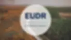 ree