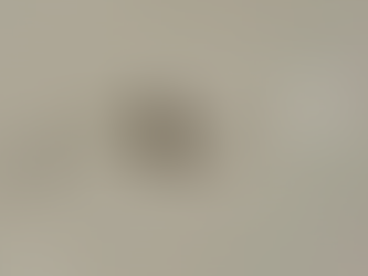 Kavrulmuş Kahve Filizlenir mi? Reddit’te Çözülemeyen Gizem