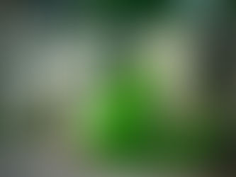 Photo Feature: Squires Castle