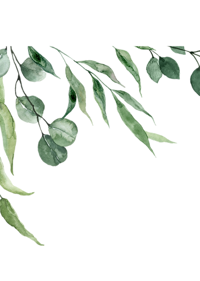 Australian Animal images_edited.png