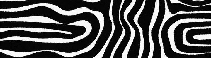 zebra copy.jpg