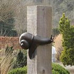 Large Snail Big Cyril