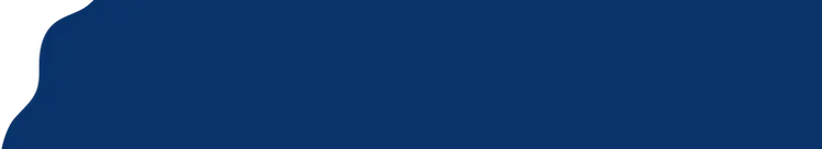 Vector (6).webp