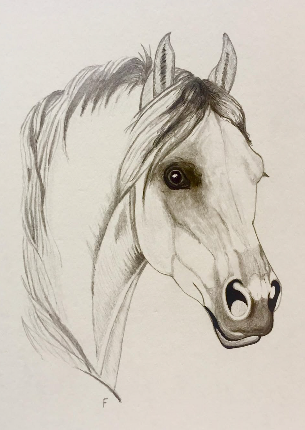 Thumbnail: Equine Artwork