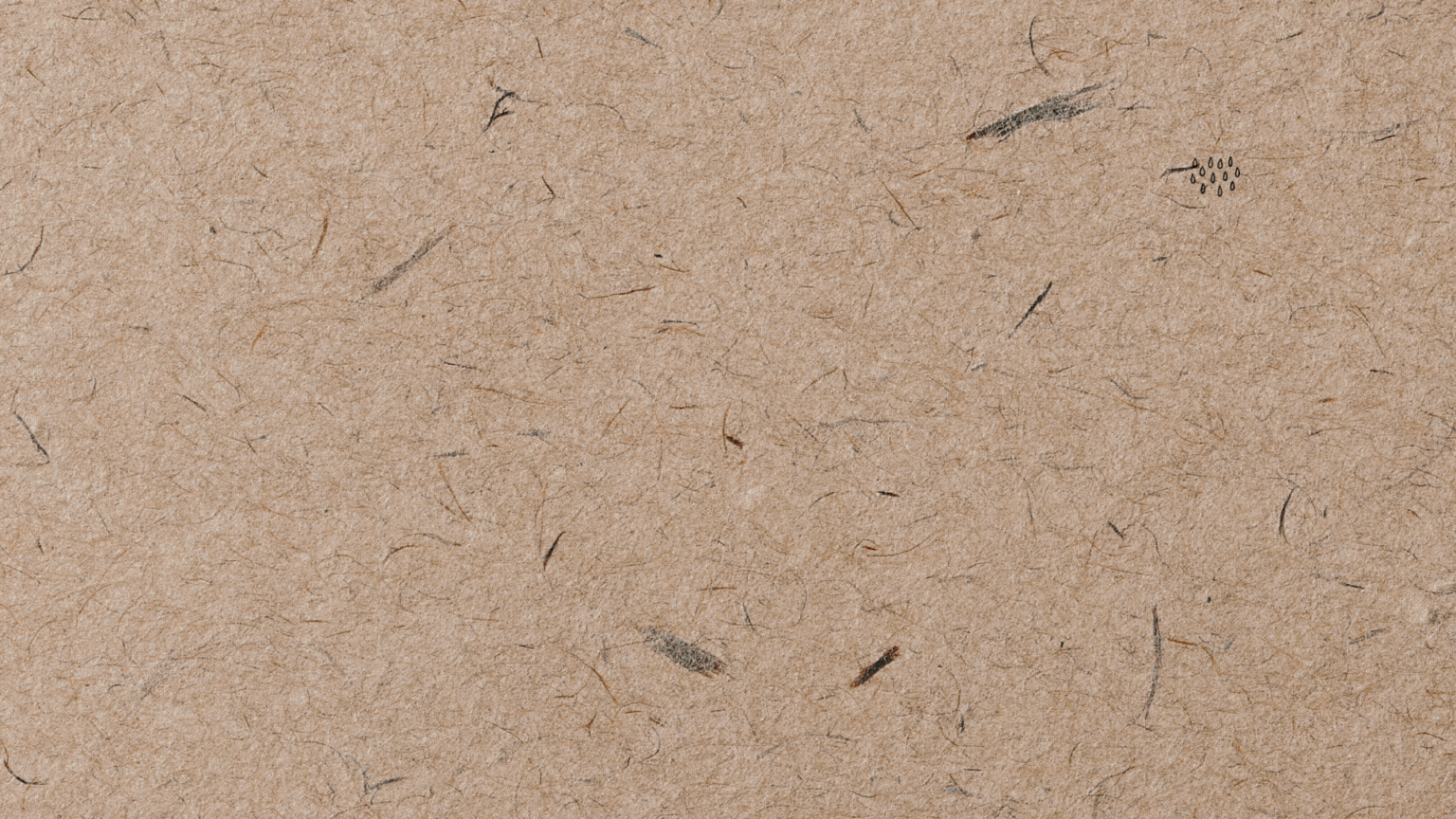 Brown Cute Vintage Scrapbook Thanksgiving Video.gif