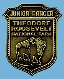 The Roose buffalo pin.jpeg