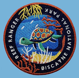 Biscanye reef patch.jpeg