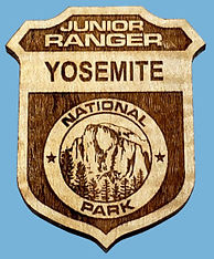 Yosemite wooden badge.jpeg