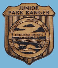 Indiana Dunes wooden.jpeg