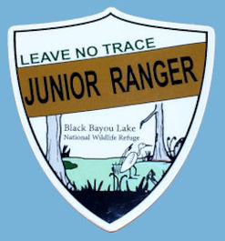 black bayou lake.jpeg