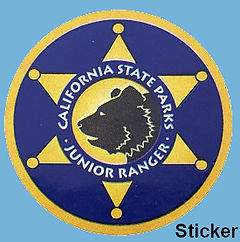 Cali star purple bear.jpeg