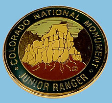 Colorado pin.jpeg