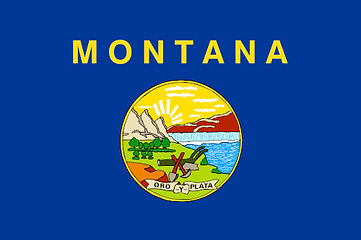 State Flag.jpeg