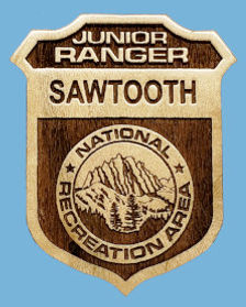 Sawtooth wooden.jpeg