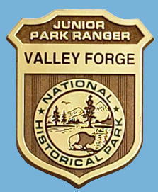 valley forge badge2.jpeg