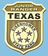 Eisenhower Badge.jpeg