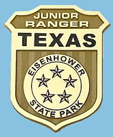 Eisenhower Badge.jpeg