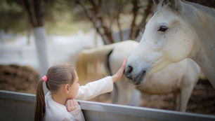 Animal-assisted Therapy for Autism