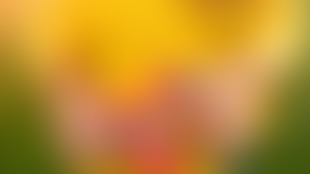 Being an Ally to the Autistic Community