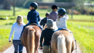 Equine Therapy: Yay or Nay?