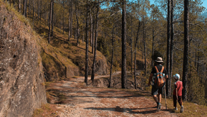 Benefits of Nature Walks for Children with Autism