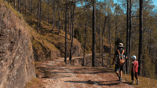 Benefits of Nature Walks for Children with Autism
