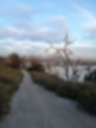BOLSA CHICA WALKING TRAIL
