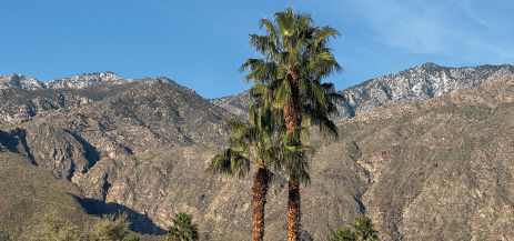 Your Affordable Palm Springs Getaway