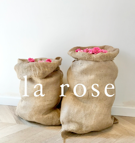 rose sac 2.png