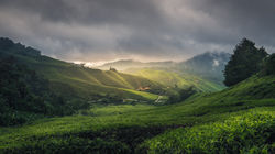 34435015003_b35391f92b_o