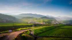 28367235730_434261c8a9_o