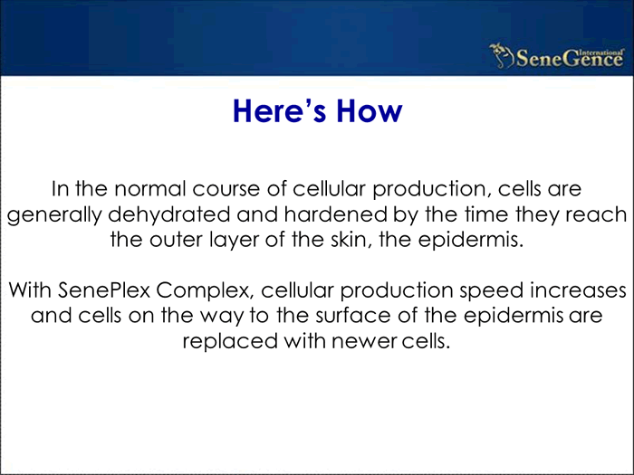 Product Information