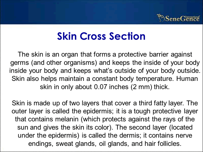 Product Information