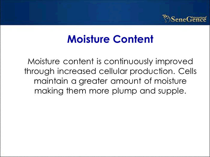 Product Information