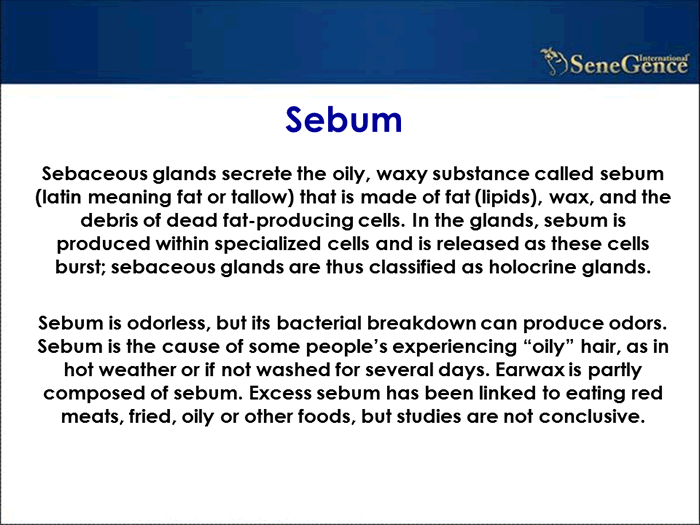 Product Information