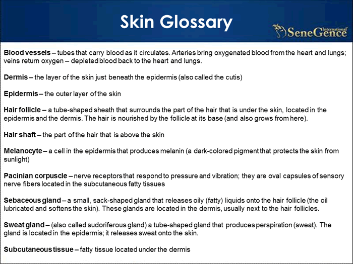 Product Information