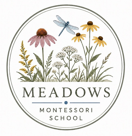 Meadows Montessori