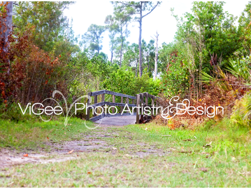 Field photography?