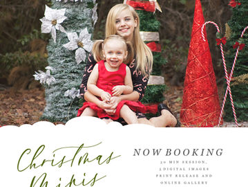 ⭐️ HOLIDAY MINIS ARE BOOKING ⭐️