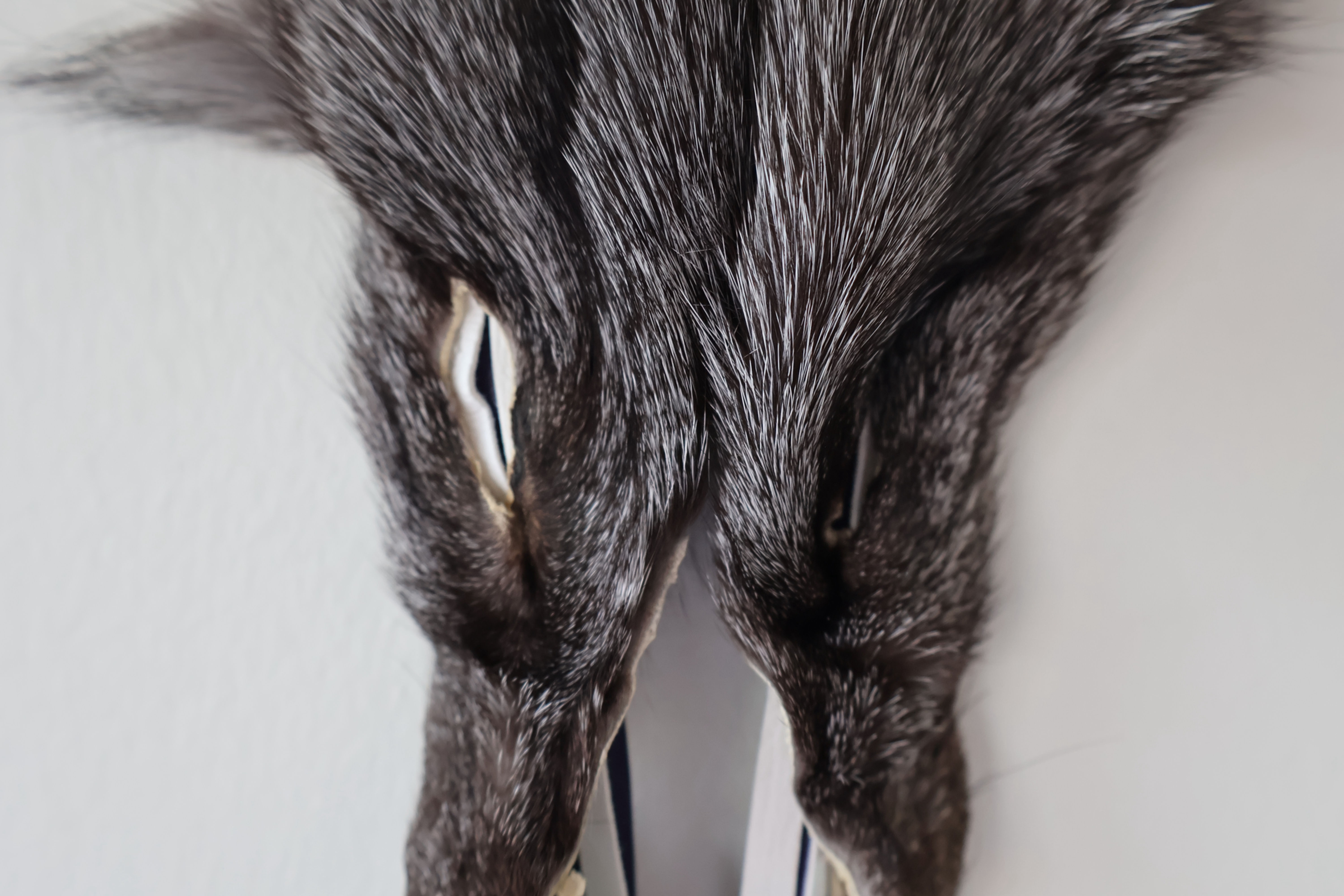 Silver fox - white and purple leather, abalone