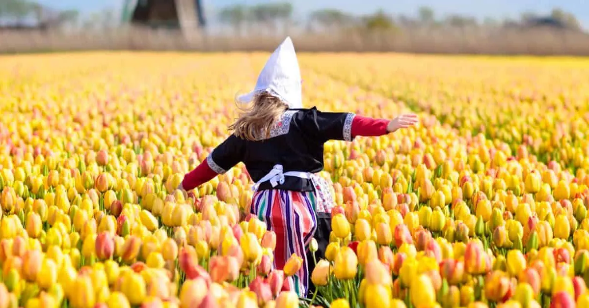 Distinctively Dutch -