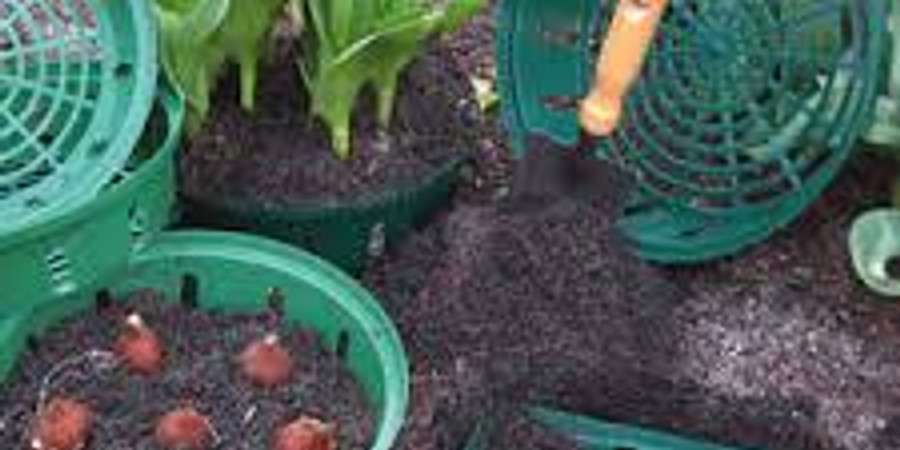 MMN Virtual Flower Bulb Basket Workshop