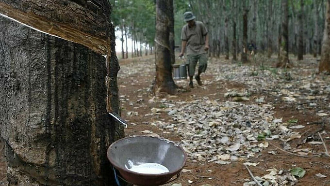 Japanese rubber futures end flat