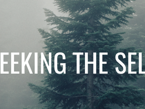 Seeking the Self: A new podcast adventure